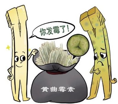 微信圖片_20250103094056.png